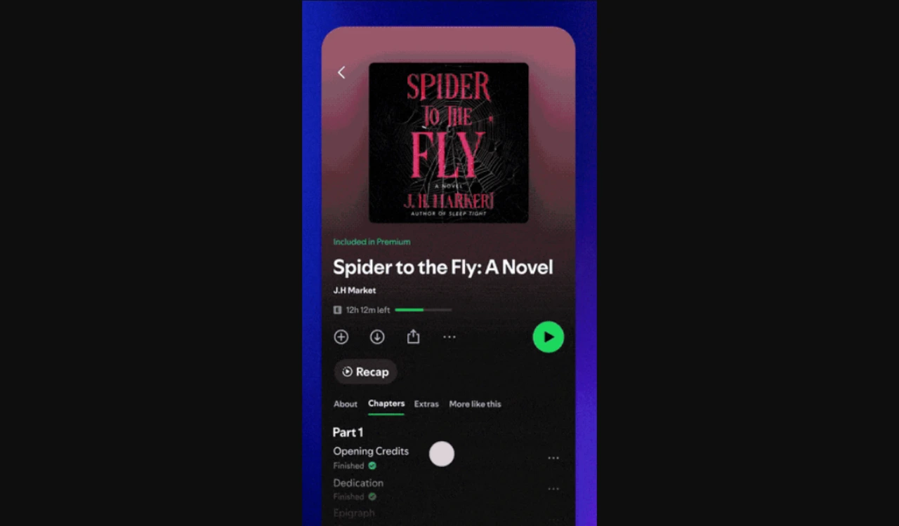 Spotify Audiobook Recaps