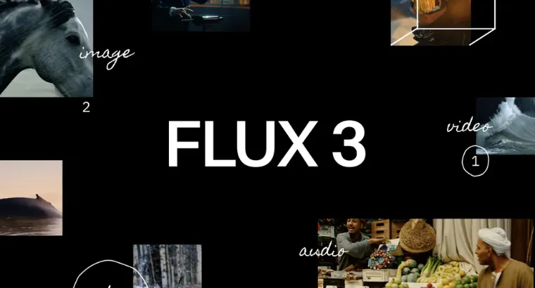 FLUX 3